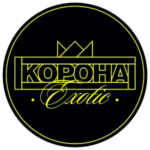 Корона